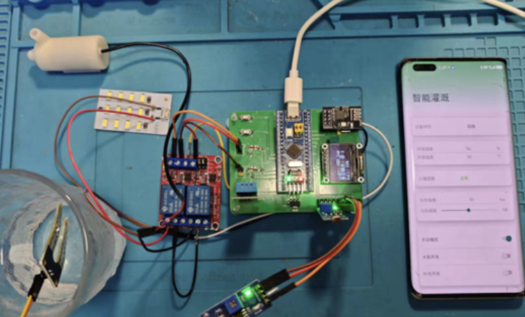 在这里插入图片描述