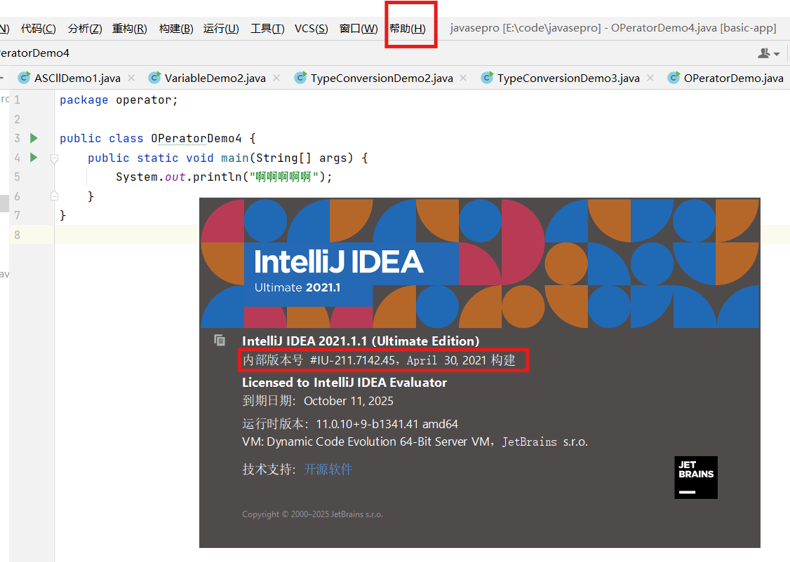IntelliJ IDEA设置为中文,中文汉化教程以及中文控制台出现乱码问题,附详细图解_intellij idea汉化-CSDN博客