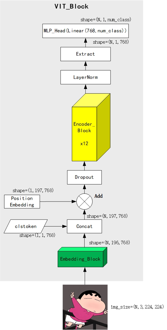 逐行剖析Vit模型代码-CSDN博客
