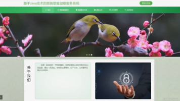 文章图片