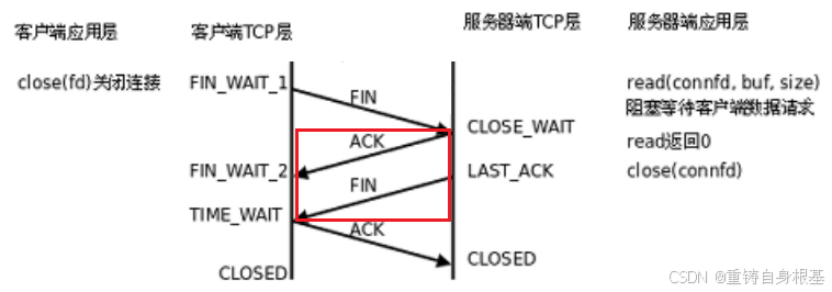 【linux】网络基础（十）TCP协议，TCP协议报文格式，标志位ACK SYN RST FIN PSH URG，超时重传机制，三次握手，四次 ...