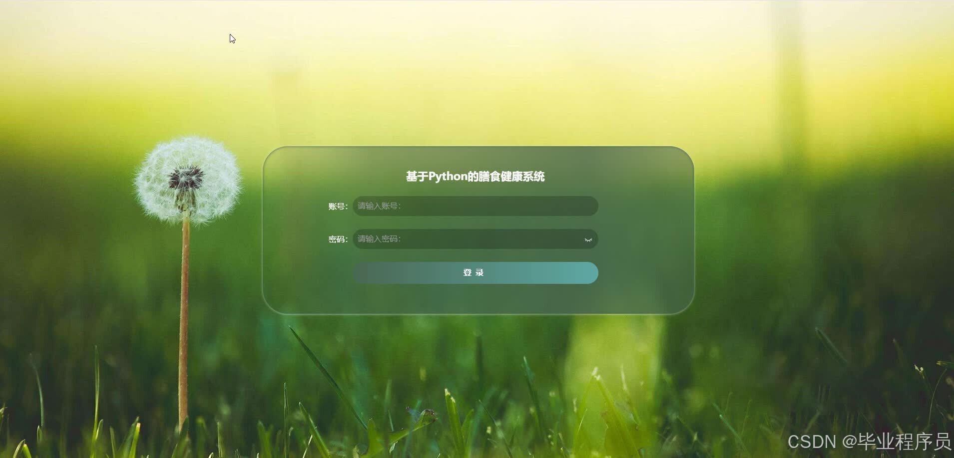 请添加图片描述