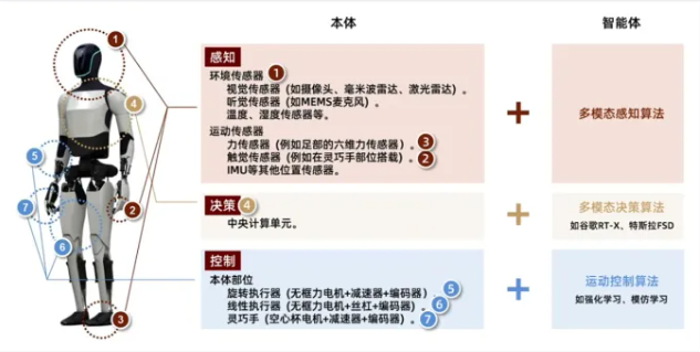 具身智能主要组成部分（人形机器人）