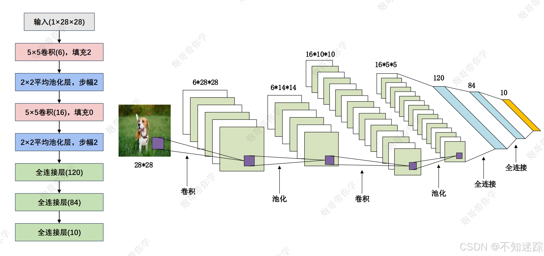 文章图片