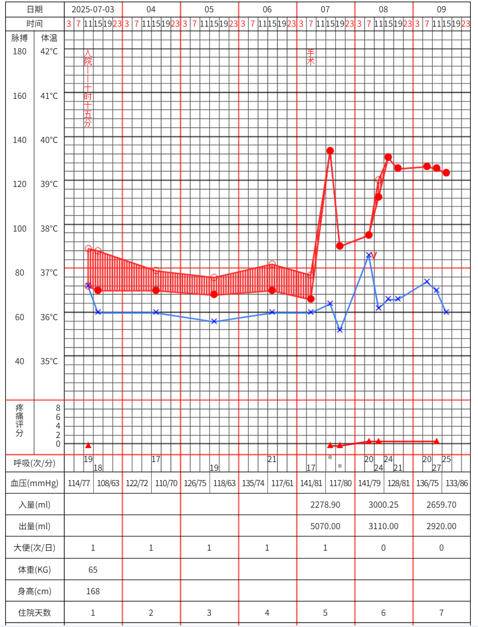 我之前的体温单