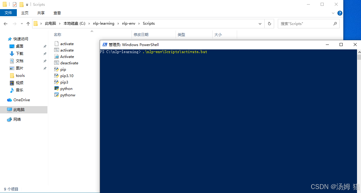 .\nlp-env\Scripts\activate