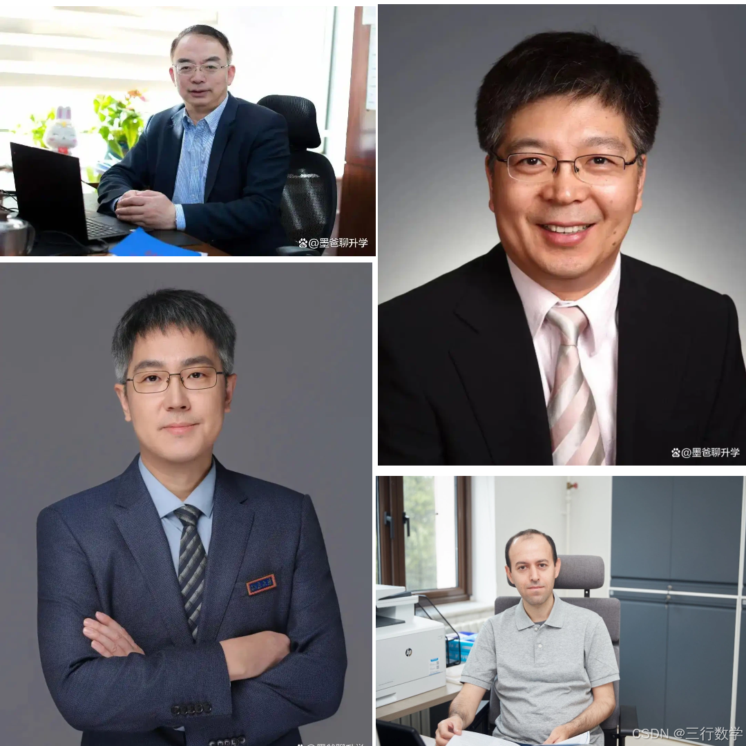 2025新增的数学领域的4位院士