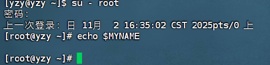 image-20251110162056919