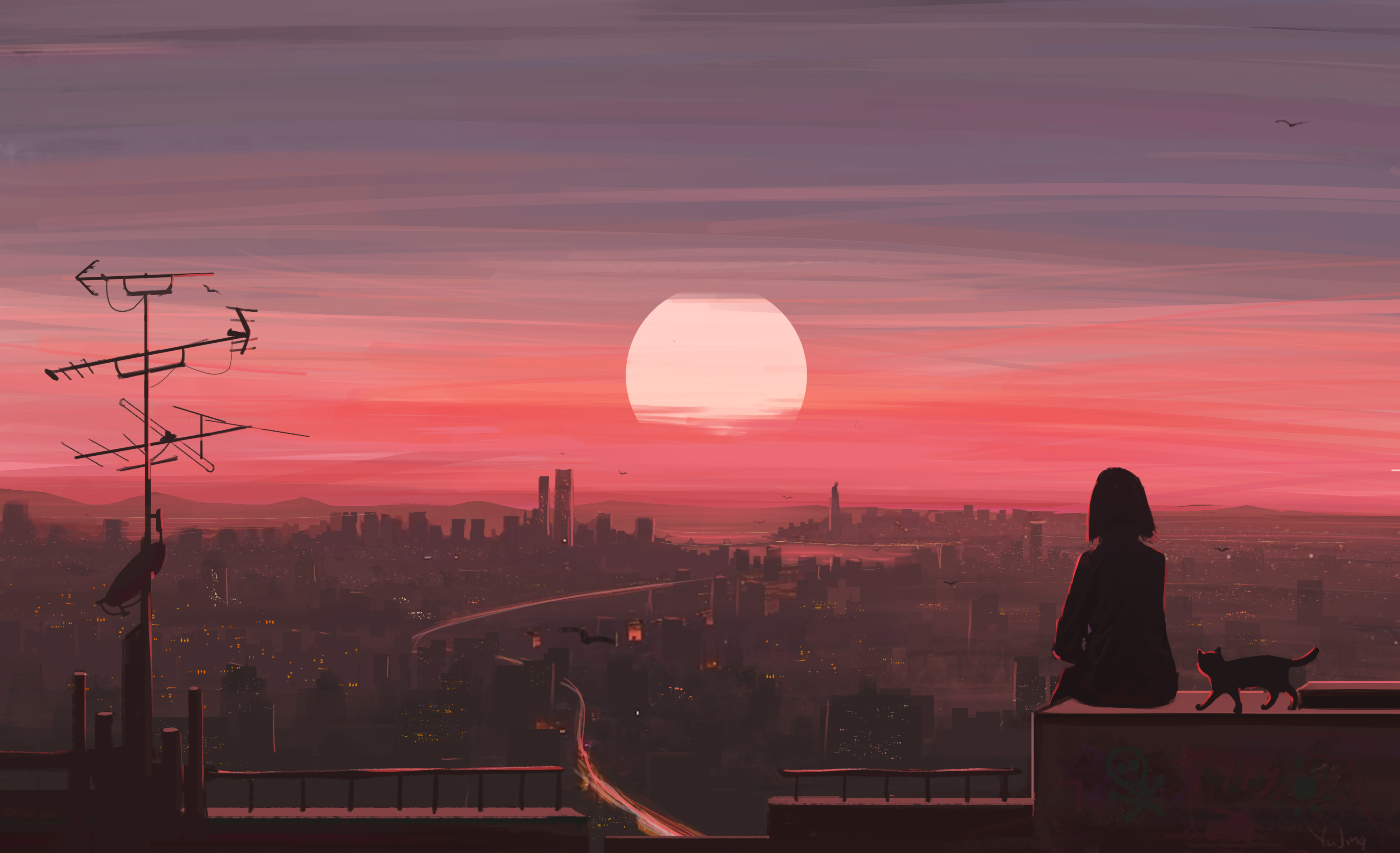 文章图片