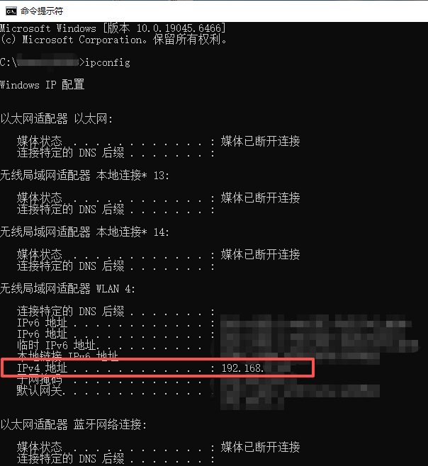Viewing the IPv4 address from the command line
