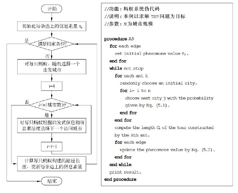 AS 求解 TSP 的流程图和伪代码