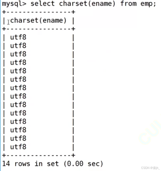 【MySQL】内置函数