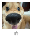 一文读懂Gitee 拉取、上传、分支创建、合并_gitee创建分支