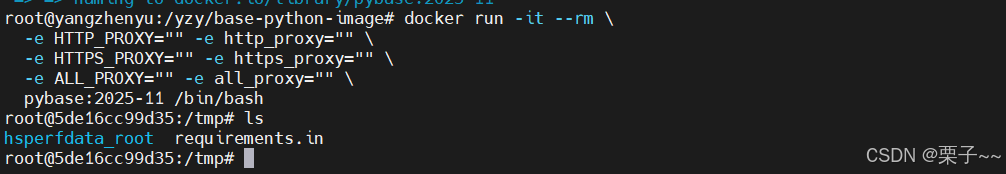 python 版本依赖管理-基础镜像工具制作-CSDN博客