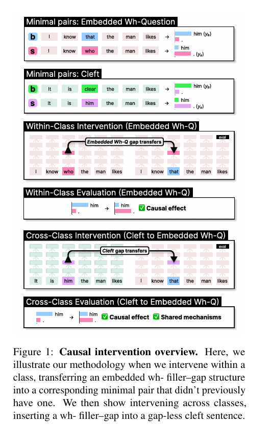  Causal interventionoverview.