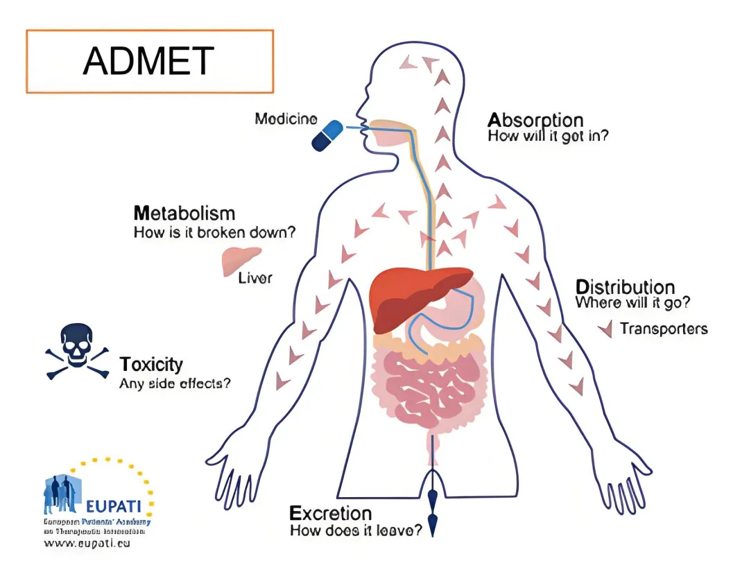 ADMET