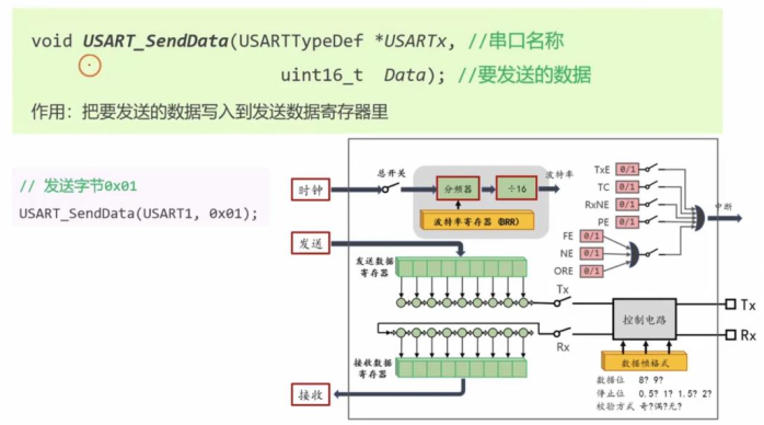 【STM32】江科大STM32小白养成记