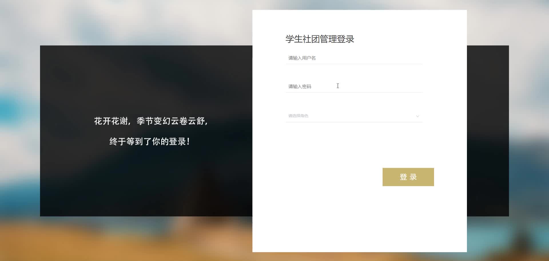 请添加图片描述