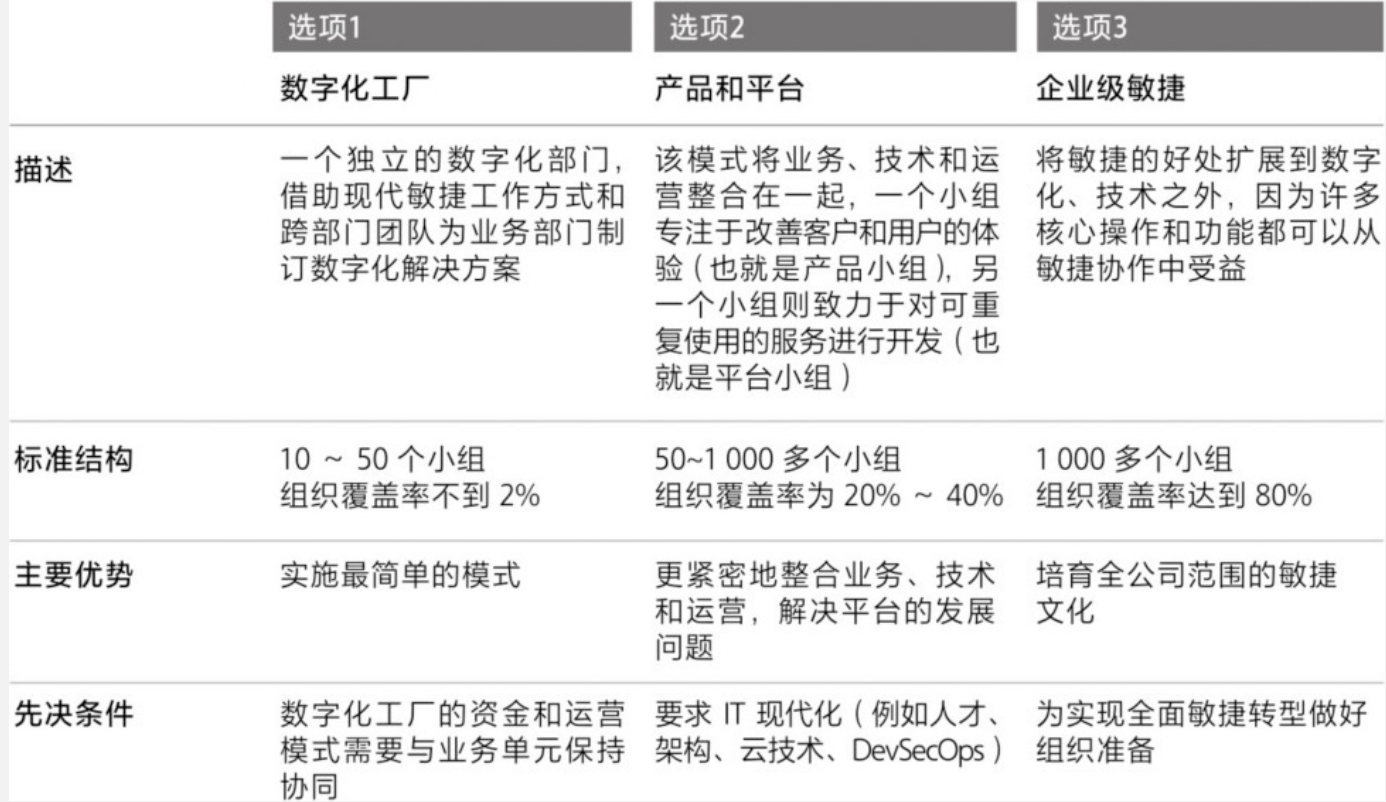 图3.10 三种运营模式设计选项