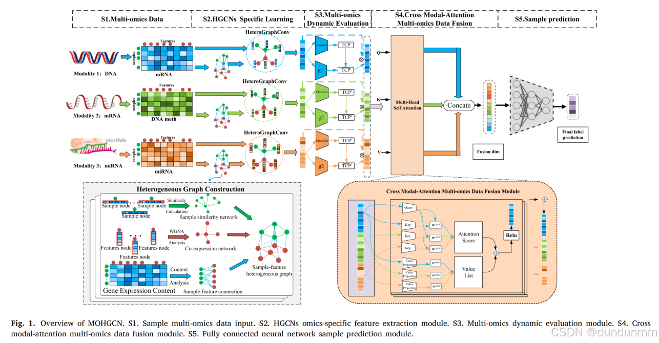 【论文阅读】MOHGCN: A trustworthy multi-omics data integration framework ...