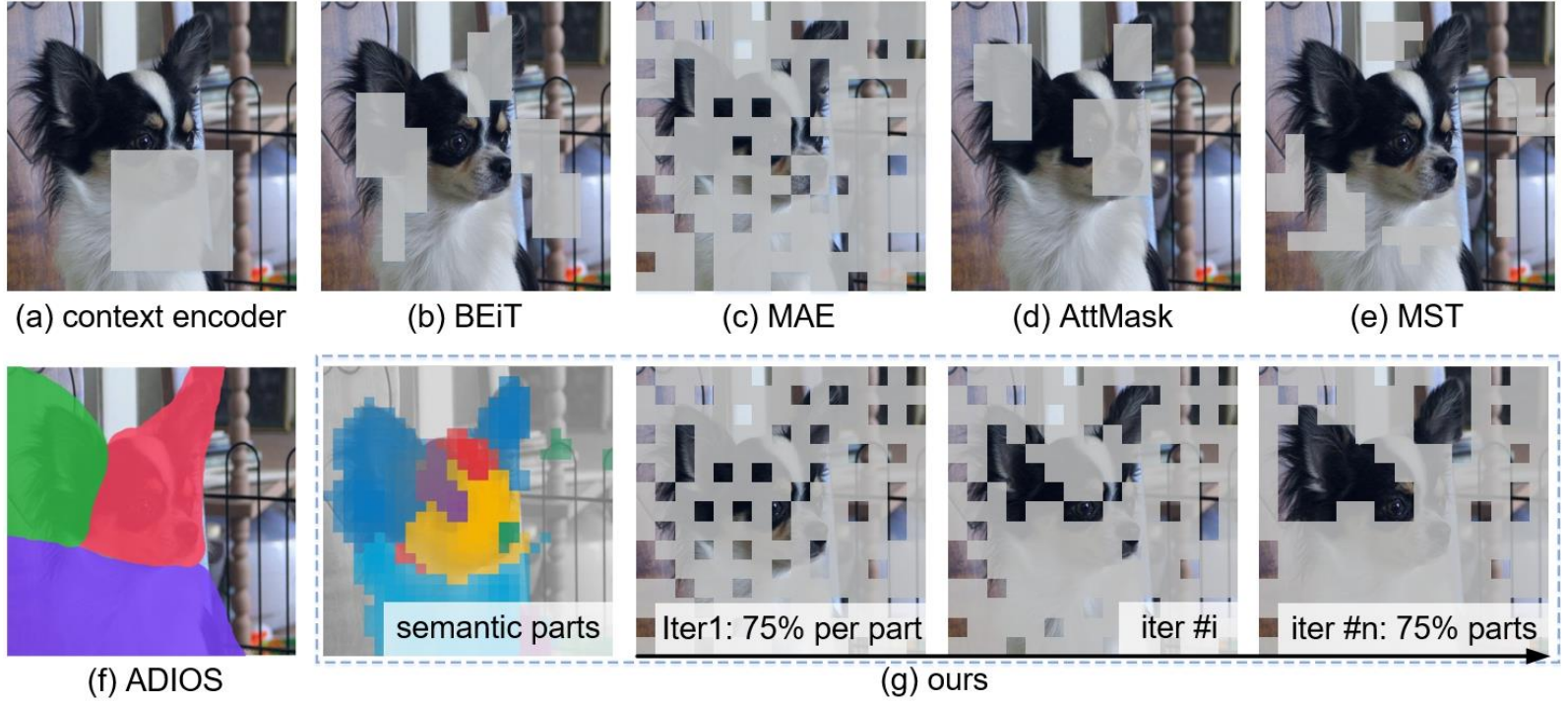 NeurIPS | 2022 | SemMAE: Semantic-Guided Masking for Learning Masked ...