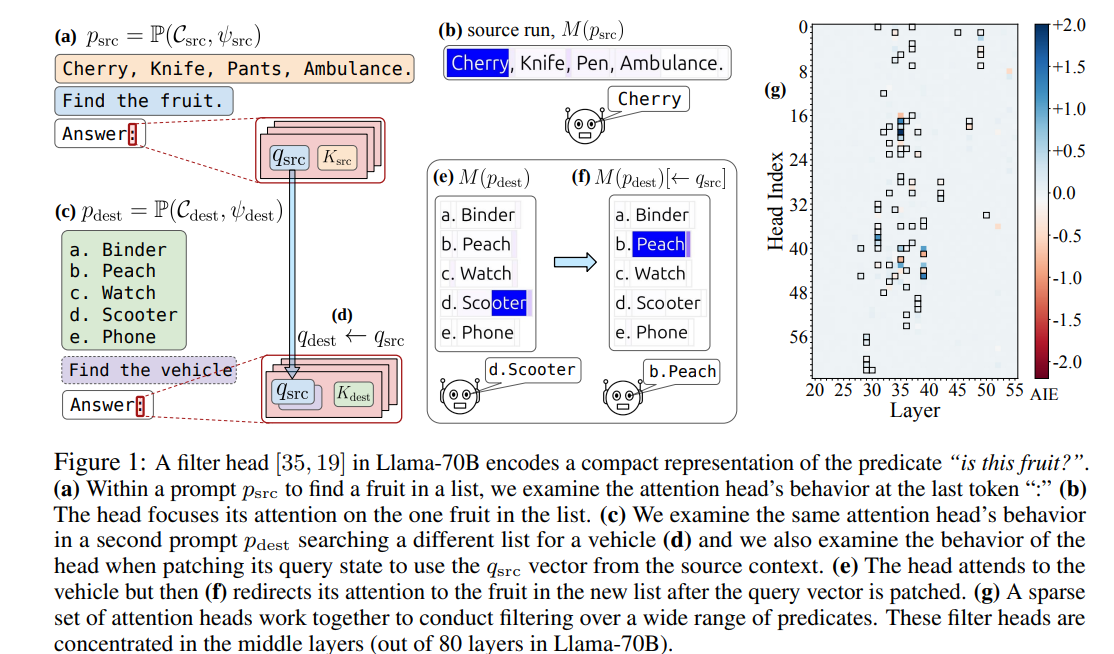 A filter head in Llama-70B encodes a compact representation of the predicate “is this fruit?”