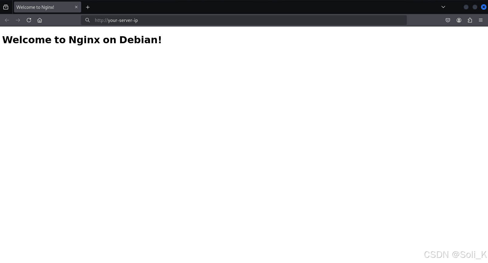 在 Debian 系统上安装和配置 Nginx 服务器_debian安装nginx