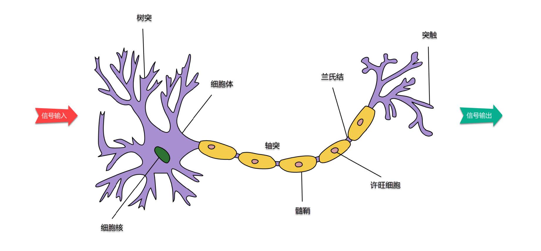4.1_neural_connection.jpg
