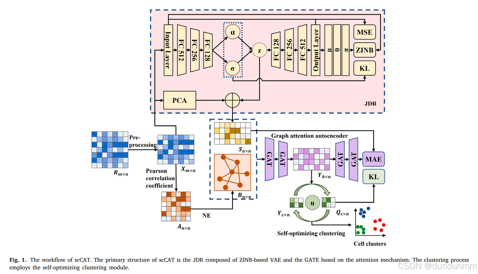 【论文阅读】scCAT: Single-cell Combined graph Attentional clustering for ...