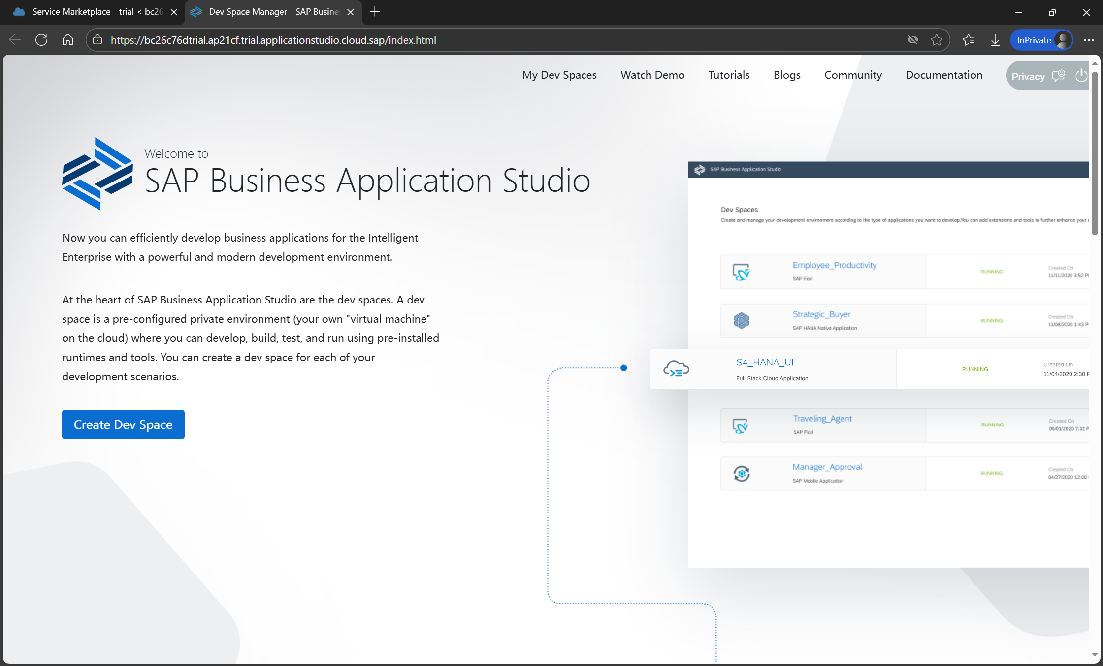 SAP 搭建BAS环境开发Fiori (胎级教程)_sap fiori开发教程-CSDN博客