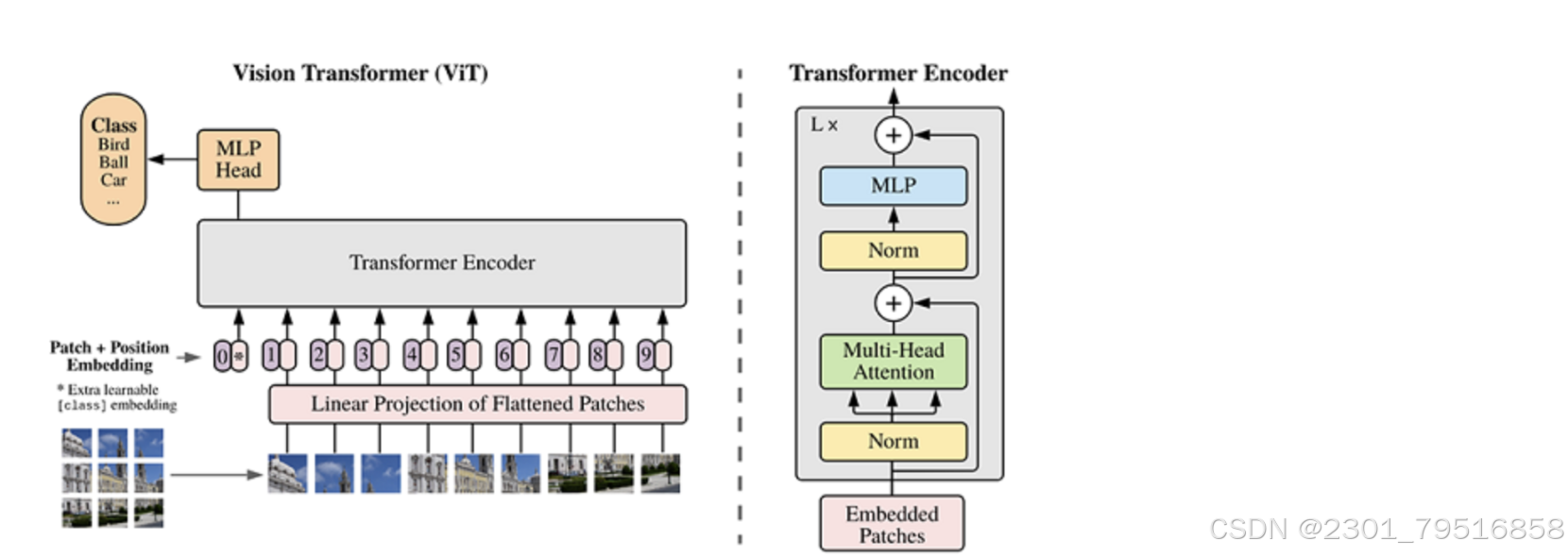 昇思25天学习打卡营第15天|简单的深度学习Vision Transformer（ViT）介绍 - Transformer模型的Encoder ...