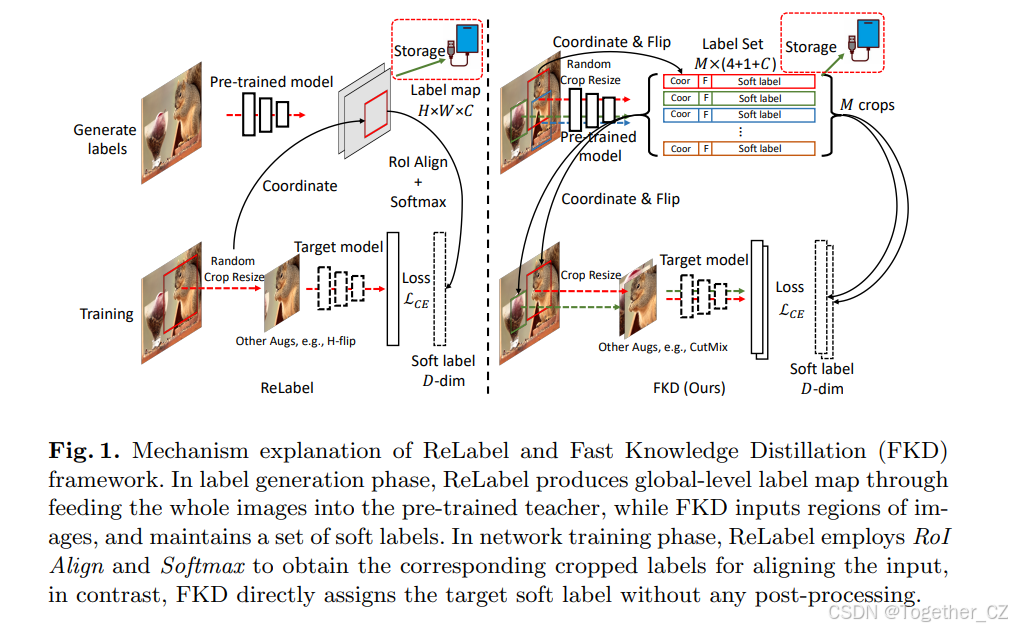 FKD：A Fast Knowledge Distillation Framework for Visual Recognition——一种 ...