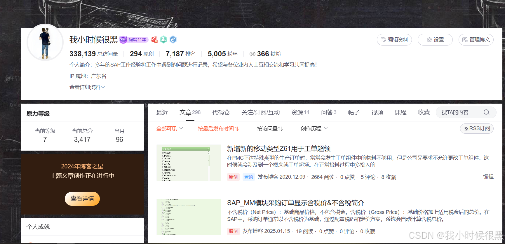 2024年创作回顾和未来展望规划_sap的未来展望及规划-CSDN博客