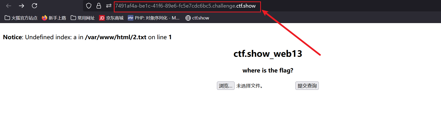 ctf.show web