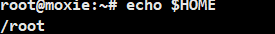 Linux 进程概念