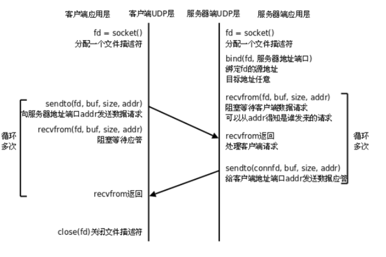 Linux - 网络编程Socket-CSDN博客