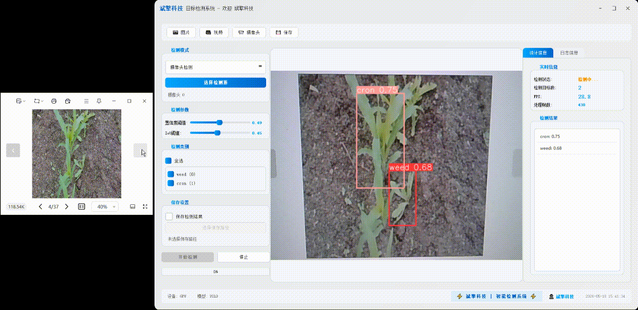 YOLOv8玉米幼苗杂草识别检测系统（项目源码+YOLO数据集+模型权重+UI界面+python+深度学习+环境配置）-CSDN博客