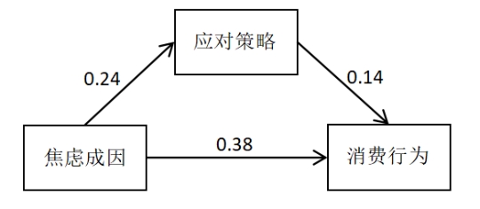 应对策略在焦虑成因与消费行为之间中介作用