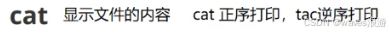 cat和tac