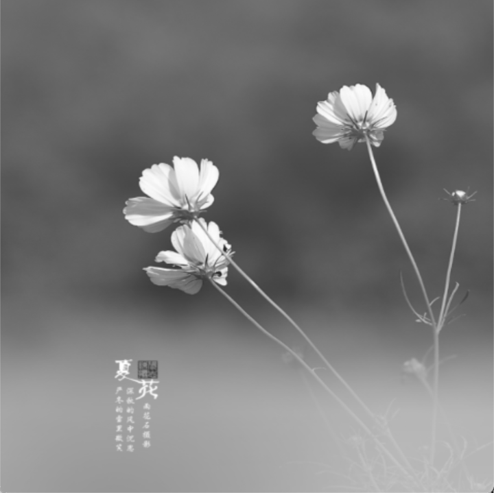 灰度图像