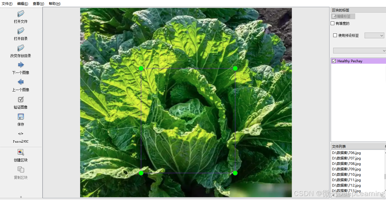 【人工智能】基于机器视觉的大白菜病害检测 YOLO