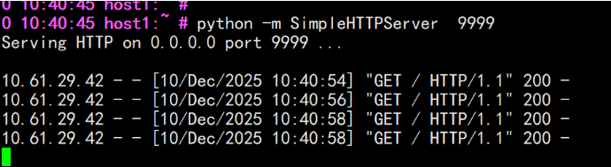 基于python搭建简单web服务器_python搭建简单的web服务器-CSDN博客