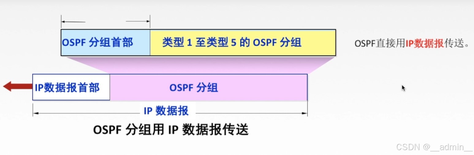 OSPF分组