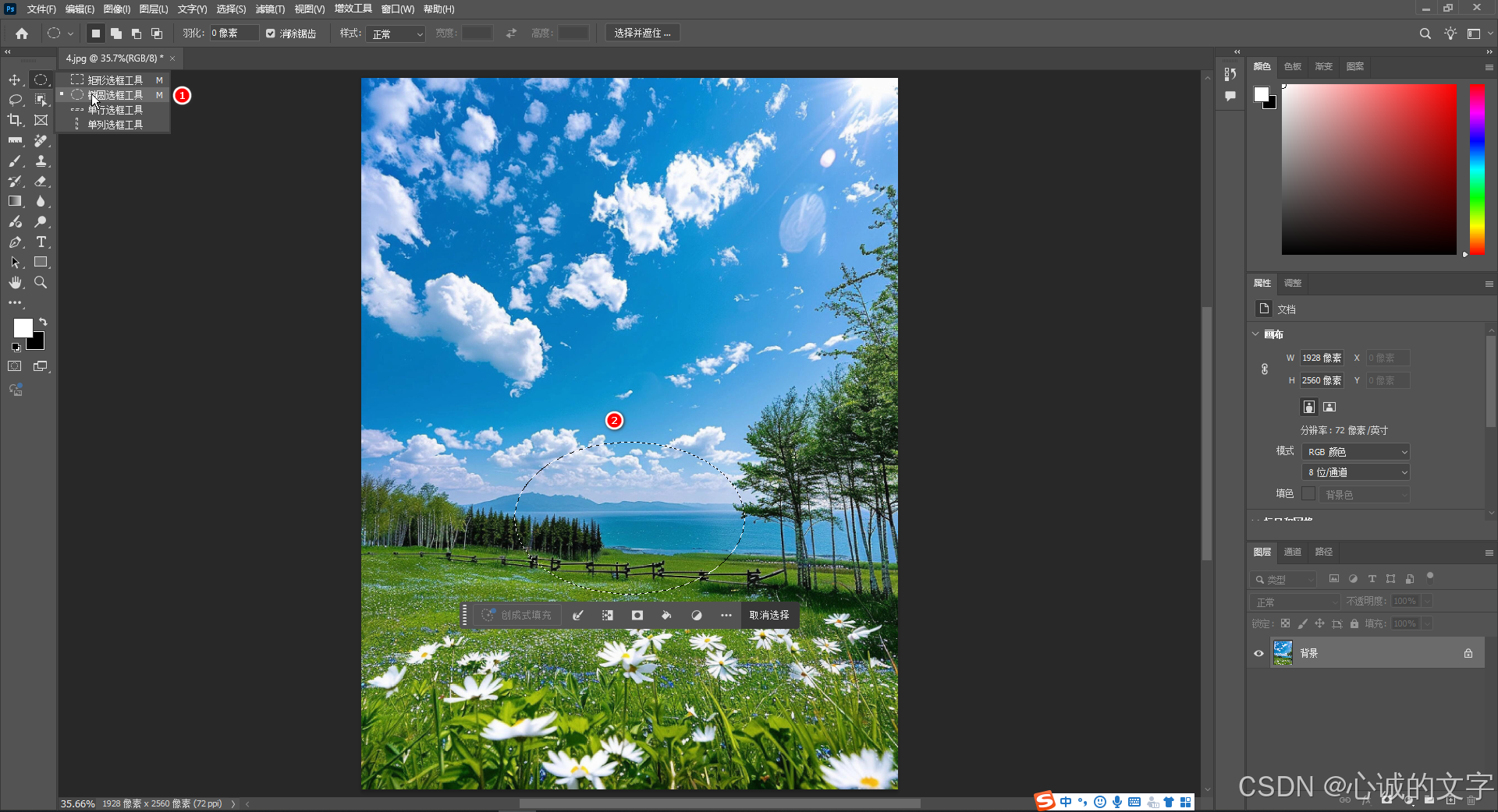 Photoshop选框工具组_ps矩形选框工具,椭圆形选框工具,单行选框工具,单列选框工具-CSDN博客