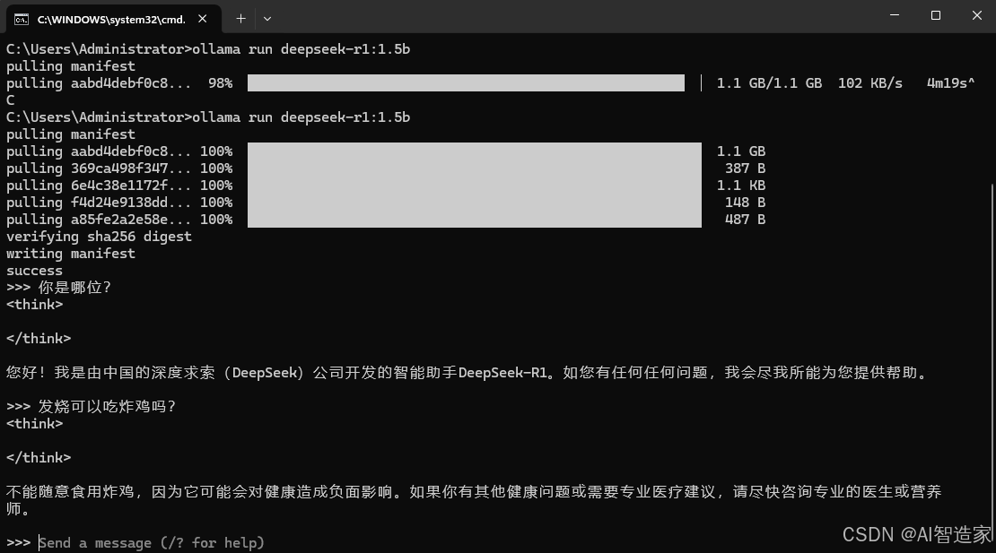 【保姆级教程】一篇文章搞定DeepSeek本地部署（Ollama+ChatBoxAI）插图28
