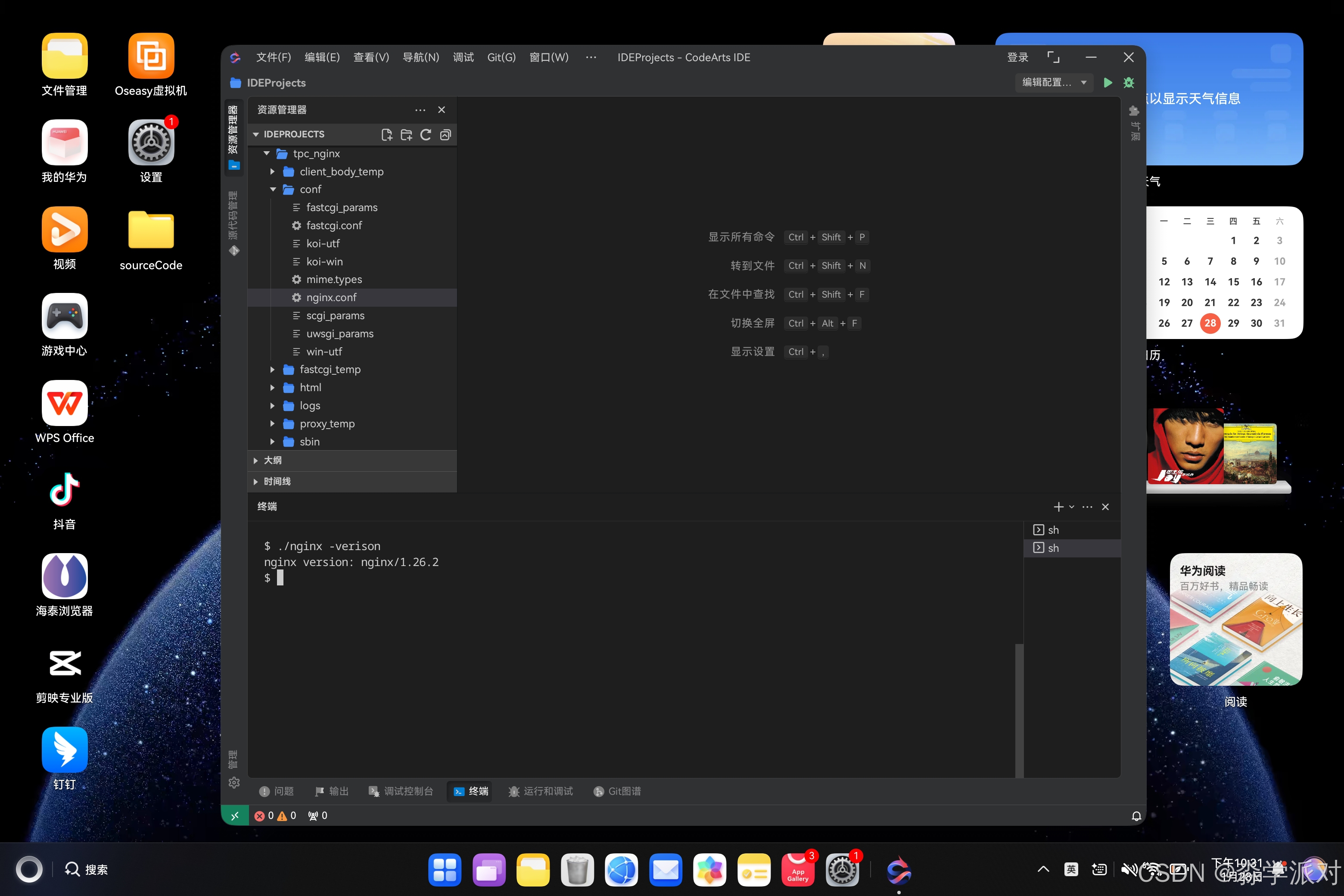 在这里插入图片描述