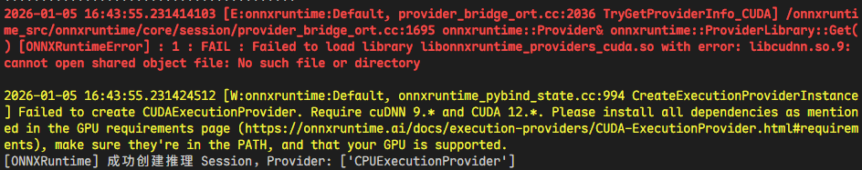 onnxRuntime报错