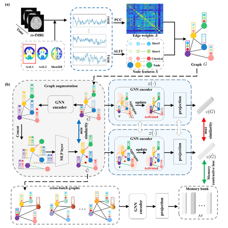 【论文精读】A-GCL: Adversarial graph contrastive learning for fMRI analysis ...