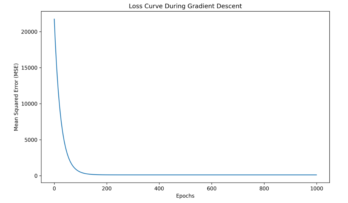 Loss Curve During Gradient Descent