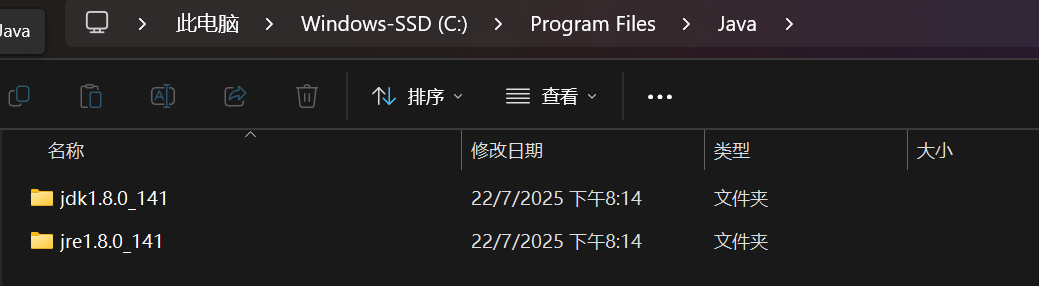 这样99%安装成功了！